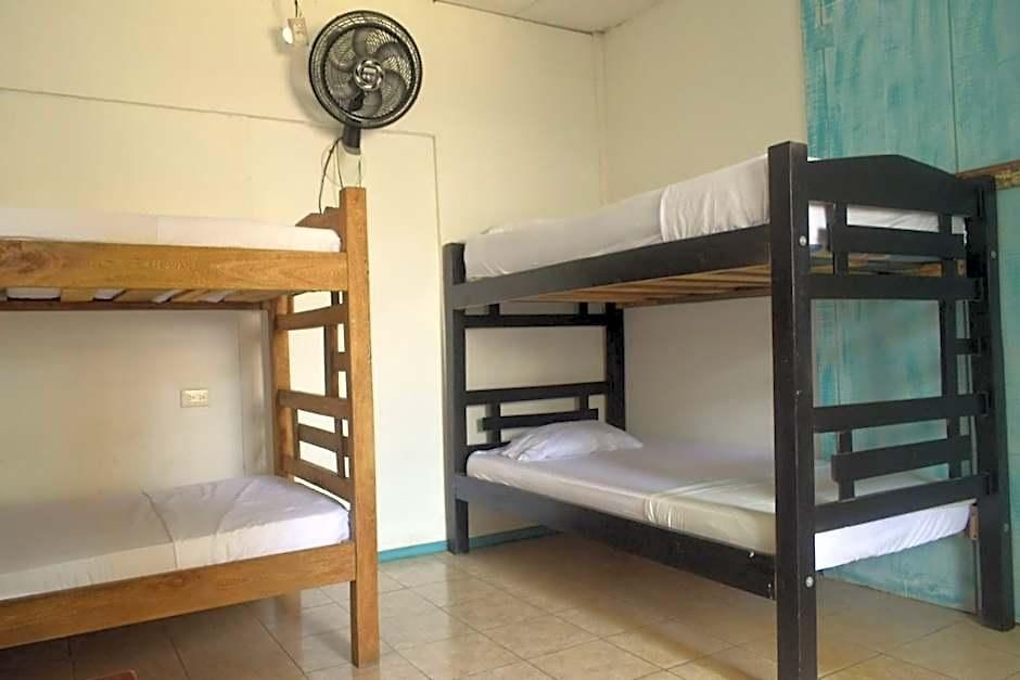Mango Tree Ctg 420 Hotel 3*