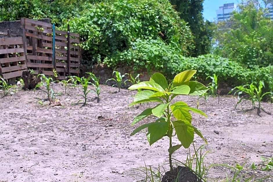 Hotel Mango Tree Ctg 420