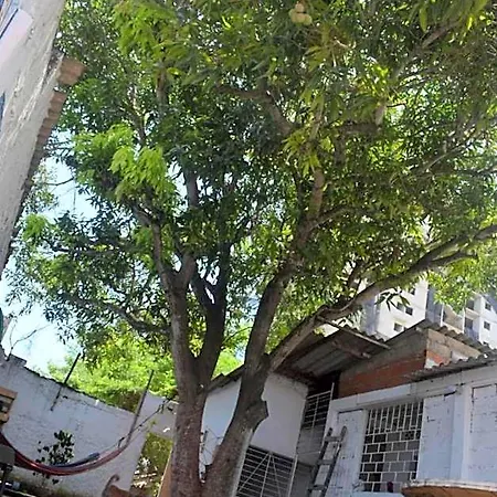 Mango Tree Ctg 420 3*